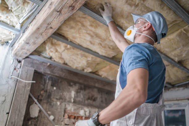 Best Insulation for Specific Applications in Easley, SC