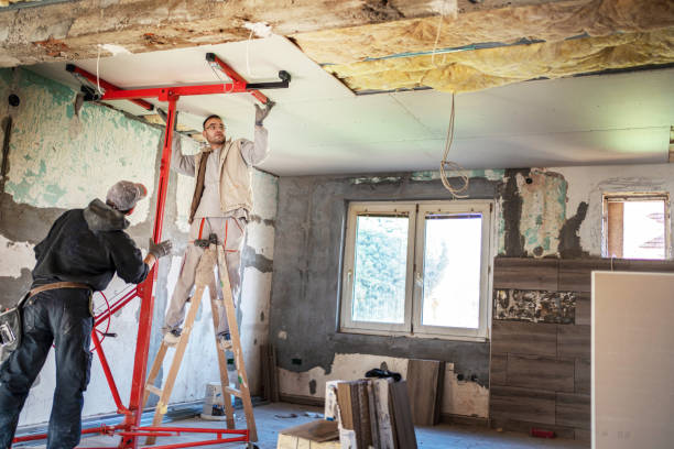 Best Insulation Materials and Products in Easley, SC